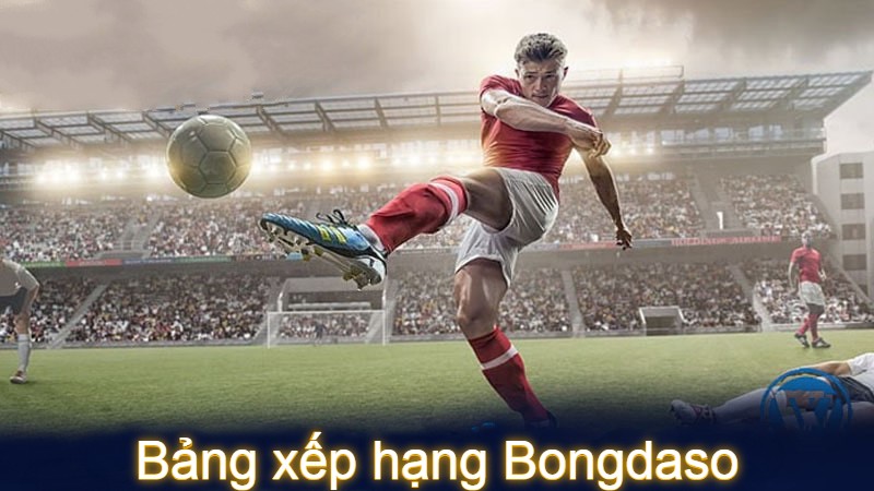 Tổng quan bảng xếp hạng Bongdaso